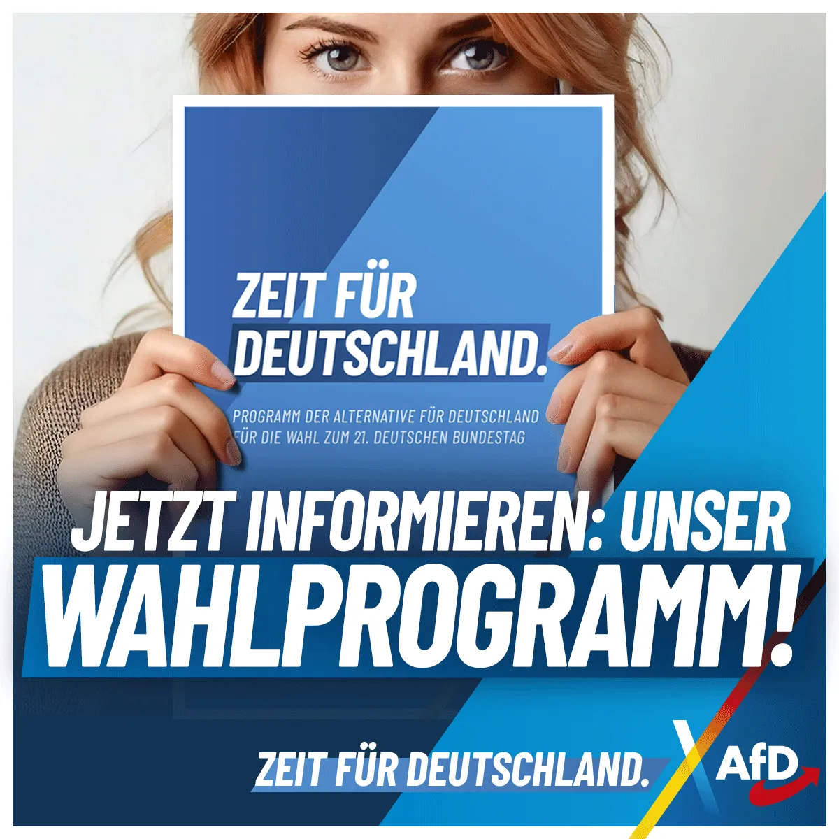 AfD_Programm